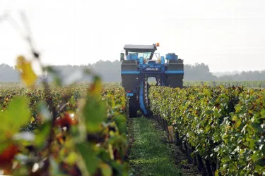Valoriser la viticulture de Loire