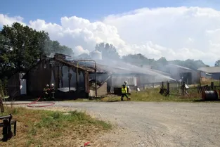 Cent-vingt cochons périssent asphyxiés durant un incendie à Giat (Puy-de-Dôme)