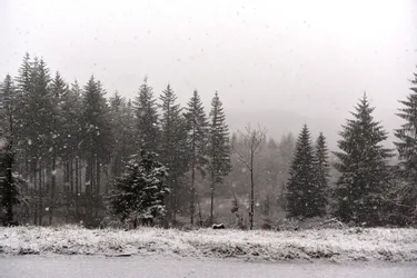 La neige fait une percée en Corrèze [diaporama]