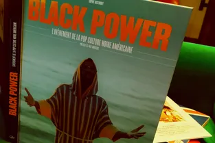Un jour / Un livre : Black Power (l'avènement de la pop culture noire américaine) par Sophie Rosemont
