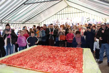 380 kg de fraises pour la tarte géante