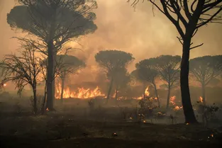 Le violent incendie du Var est "fixé mais pas maîtrisé" selon le préfet