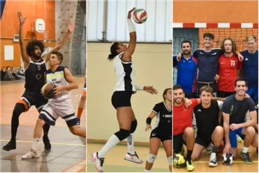 Handball, basket et volley : à Riom, quelles sont les ambitions des clubs cette saison en championnat ?