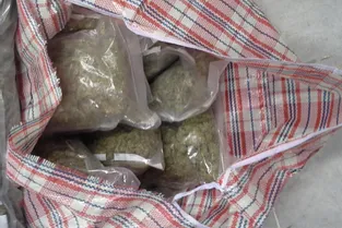 Cachés dans des roues de tracteur, 176 kilos de cannabis interceptés sur le parking d'un hôtel à Brive (Corrèze)