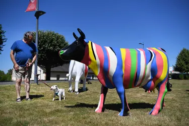Oh la vache, l’art arrive dans la rue à Moulins !