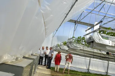 La station expérimentale de la fraise de Puy d’Arnac dispose d’une serre écologique et économique