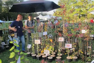 Crozant : tout pour cultiver et embellir son jardin à l'arboretum de la Sédelle