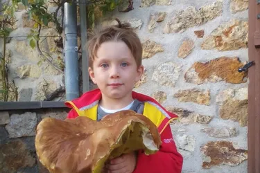 A 5 ans, Lucas cueille un cèpe d'1,2 kg