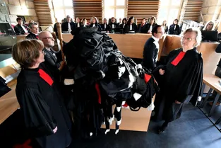 La grève des avocats suscite crispations et inquiétudes dans les tribunaux de Corrèze
