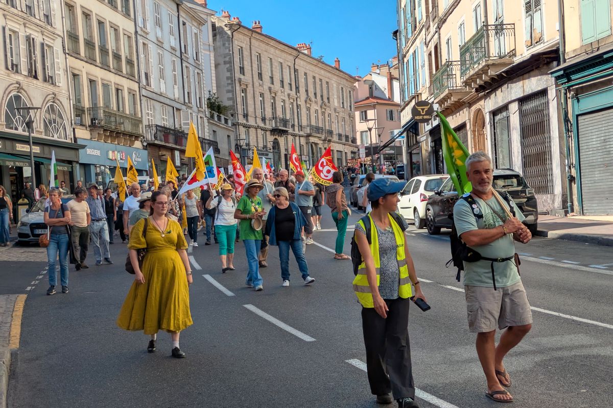 "La terre, c'est comme la bière, plus c'est chaud, moins c'est bon" : au Puy-en-Velay, des centaines de manifestants défilent pour le climat