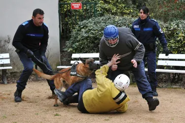 Quatre policiers et deux chiens sillonnent la ville pour protéger la population vichyssoise