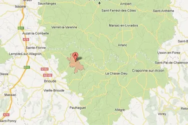 Haute-Loire : un retraité tué en coupant du bois