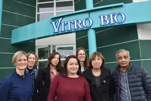 A Issoire, le laboratoire Vitrobio a breveté un traitement pour lutter contre les allergies