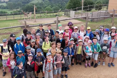 Les écoliers ont découvert le parc animalier d’Ardes-sur-Couze