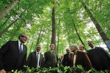 C’est dans la futaie de Buffévent que le chêne de 200 ans est désormais baptisé François Péron