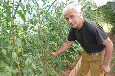 A Charbonnières-les-Varennes (Puy-de-Dôme), Jean-Pierre Chabry cultive une centaine de variétés de tomates