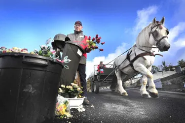 Les agents du haras assurent, deux fois par semaine, le ramassage des déchets au cimetière
