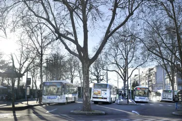 Limoges : modification du plan de circulation cette semaine sur la ligne 36