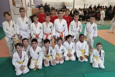 Les jeunes judokas brillent sur les tatamis