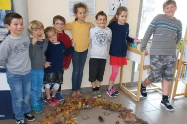 Les élèves d’Oradour initiés au Land-art