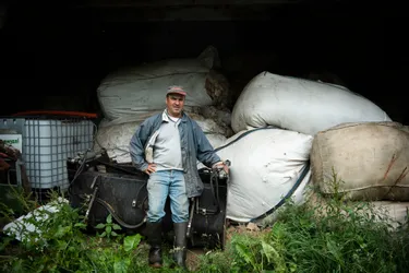 Stocks de laine en panne de débouchés : l'exemple des éleveurs de brebis dans le Puy-de-Dôme