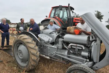 Les Jeunes Agriculteurs de l'Allier relance un concours de labour à Mazirat