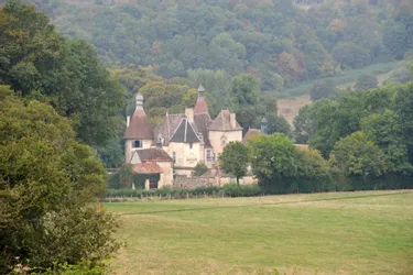 Le château du Vieux-Bostz sera-t-il vendu aux enchères à Moulins ?