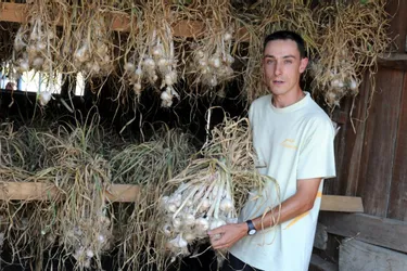 A Espirat, Sébastien Bourletias est la quatrième génération à cultiver l’ail (3/7)