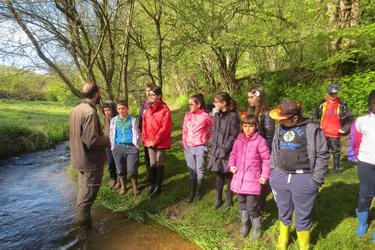 Les écoliers découvrent le monde des rivières et des étangs