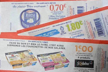 Des caissières licenciées en Corrèze pour quelques euros d'écobons contestent devant la cour d'appel de Limoges
