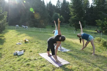 Faire le plein de relaxation dans les poumons avec le yoga à Prat-de-Bouc (Cantal)