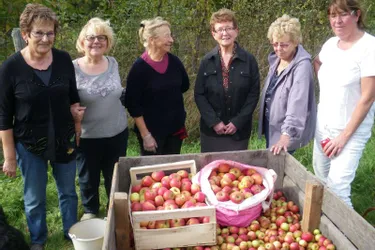 Les pomme pomme girls préparent la fête