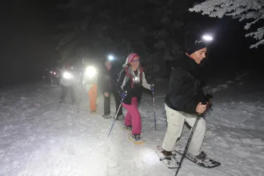 Gravir le sommet du Mézenc de nuit, en hiver, une expédition à vivre !