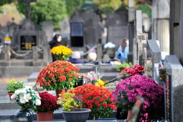 Les vols de fleurs se multiplient au cimetière de Sainte-Feyre (Creuse)
