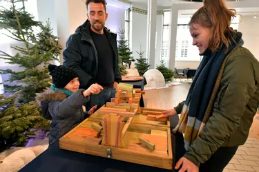 Des jeux en bois en accès gratuit au pavillon du Verdurier à Limoges