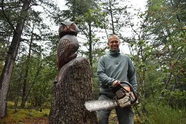 Un écureuil, un ours... Qui se cache derrière ces sculptures sur souches qui peuplent la forêt de Châtel-Guyon ?