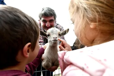 Les chèvres font la fête à Aubazine, des champions olympiques à Brive, des idées de sorties en Corrèze du 20 au 23 avril