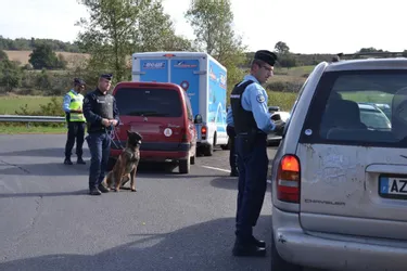 Les gendarmes ont mené une opération sur l’A75, vendredi