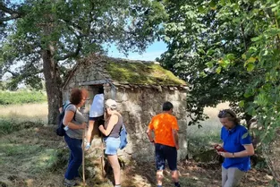 Les poulaillers de plein champ restaurés à Peyrat-la-Nonière (Creuse)