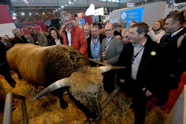 Salon de l'agriculture : Laurent Wauquiez à la rencontre des interprofessions bovines auvergnate et rhônalpine