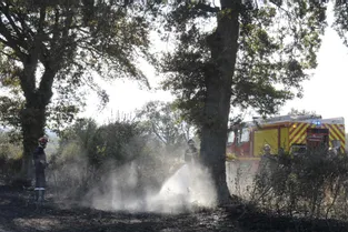 Un feu de broussailles détruit trois hectares à Leucamp (Cantal)