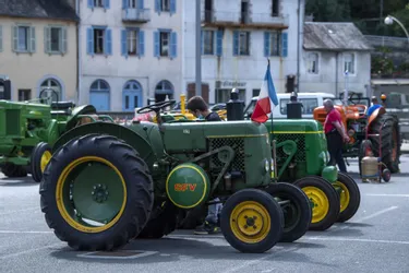 À la Biennale d'histoire locale de Tulle (Corrèze), une exposition de tracteurs pour saisir un siècle d'évolution du matériel agricole