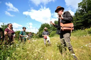Stop Mines 23, les Botanistes du Limousin et Thierry Thévenin au chevet de la flore de Villeranges