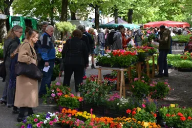 Découverte des espaces verts, balades, marché aux plantes... du 4 au 6 mai