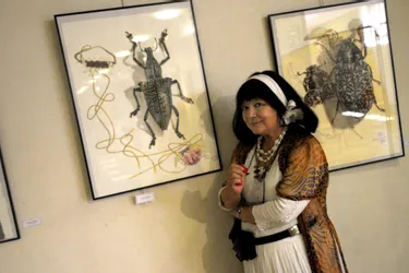 Exposition « Regards croisés sur le monde des insectes » à Tulle