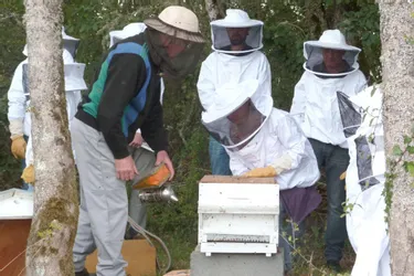 L’apiculteur Gérard Lesombre et la réserve naturelle veillent aussi sur les abeilles en hiver