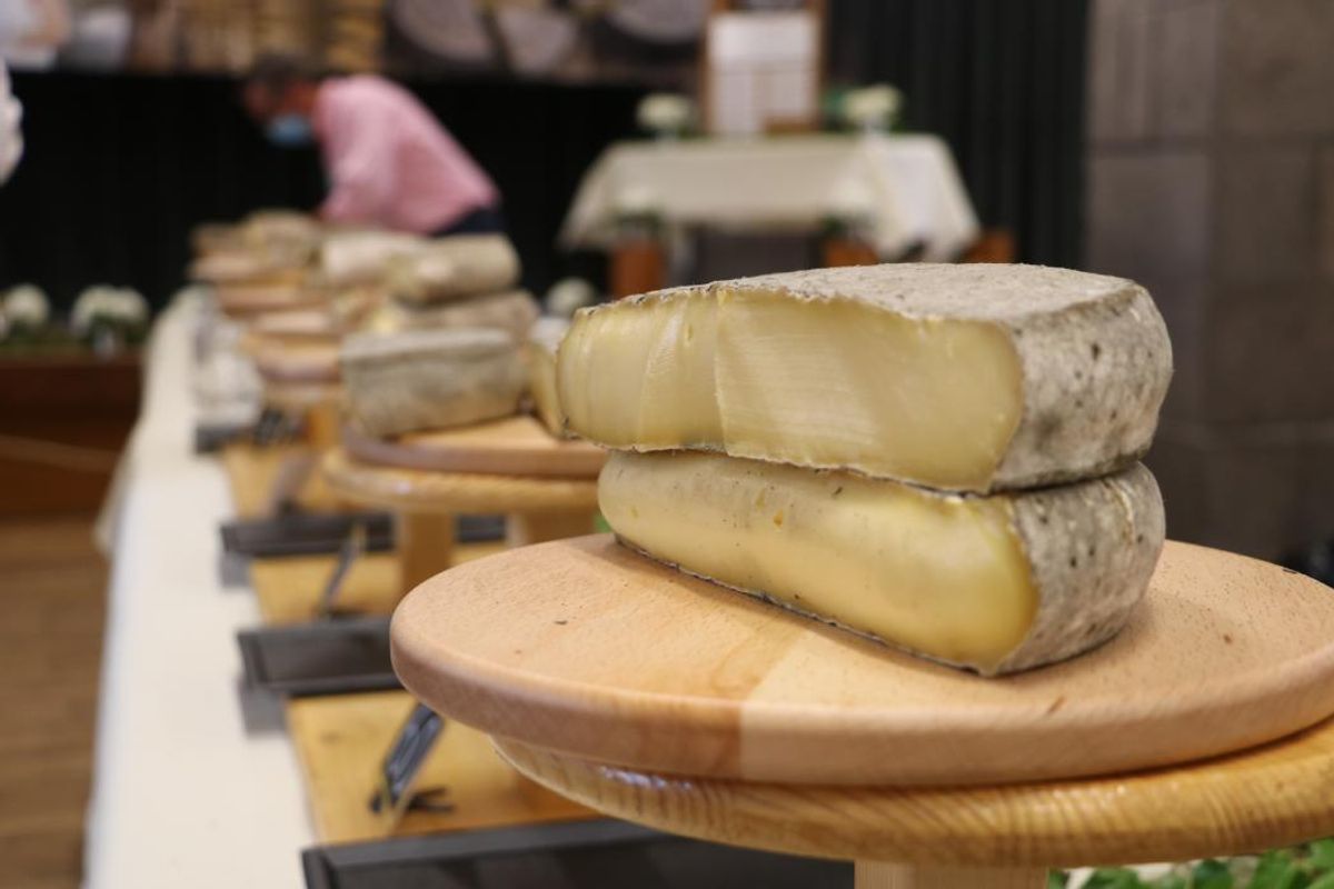 Mondial de truffade, concours national, marché de producteurs : que réserve le Festi'fromage, ce week-end à Issoire ?