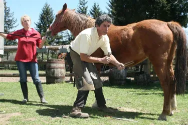 Un « savoir-fer » au service des chevaux