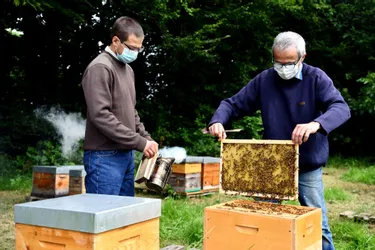 Yves Delaunay décroche trois médailles d'or pour ses miels produits en Corrèze