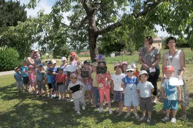 Les enfants parrains des arbres fruitiers